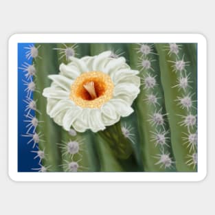 Saguaro Cactus White Flower Art Sticker